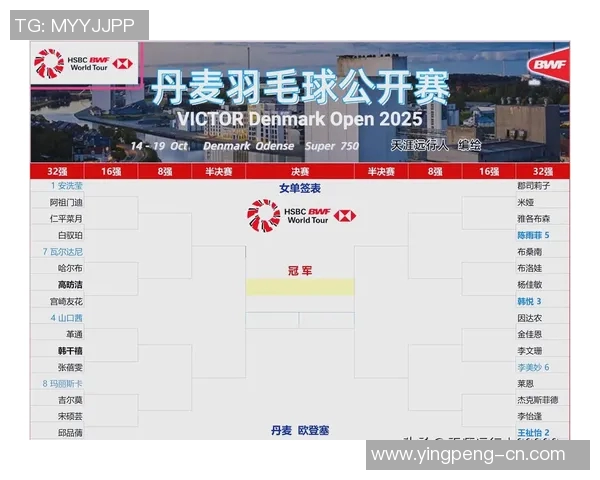 羽毛球国际赛事奖金及排名影响解读